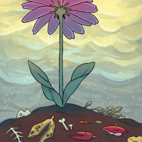 Garbage to Garden | Collaboration